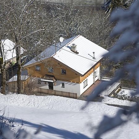 安贝格度假屋 Aschau Im Zillertal 外观 照片